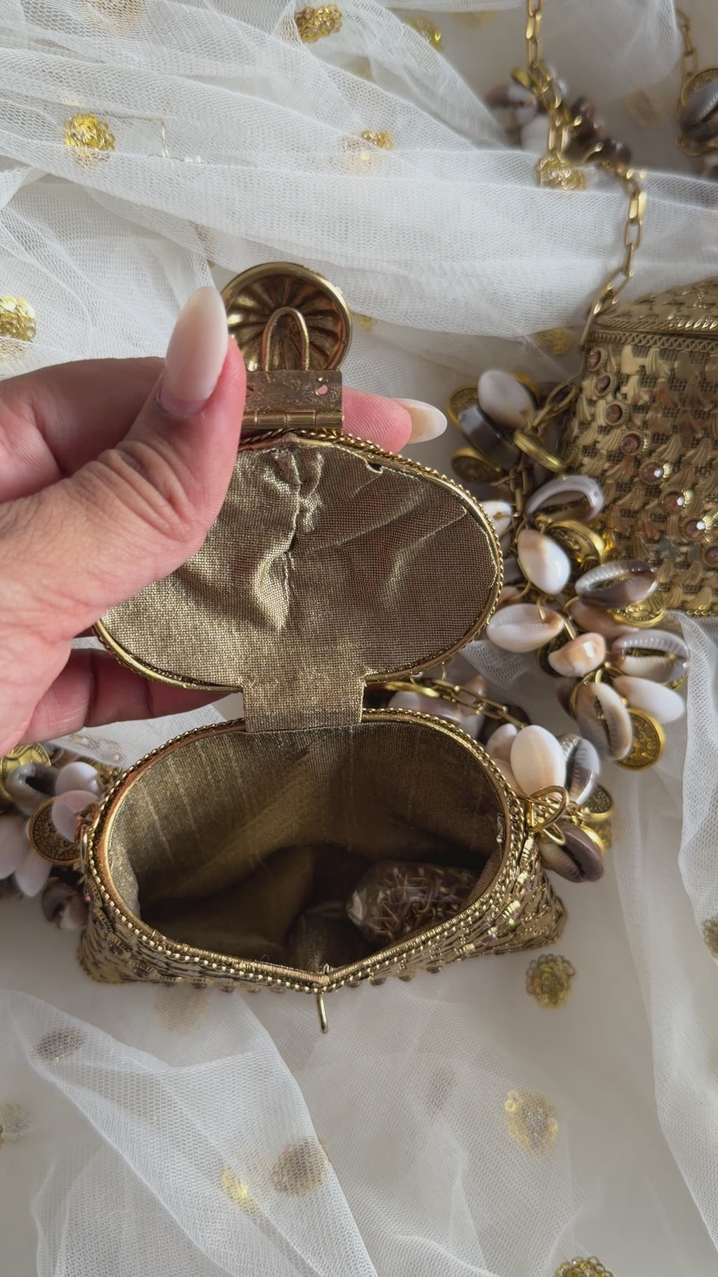 Sunheri Seashell